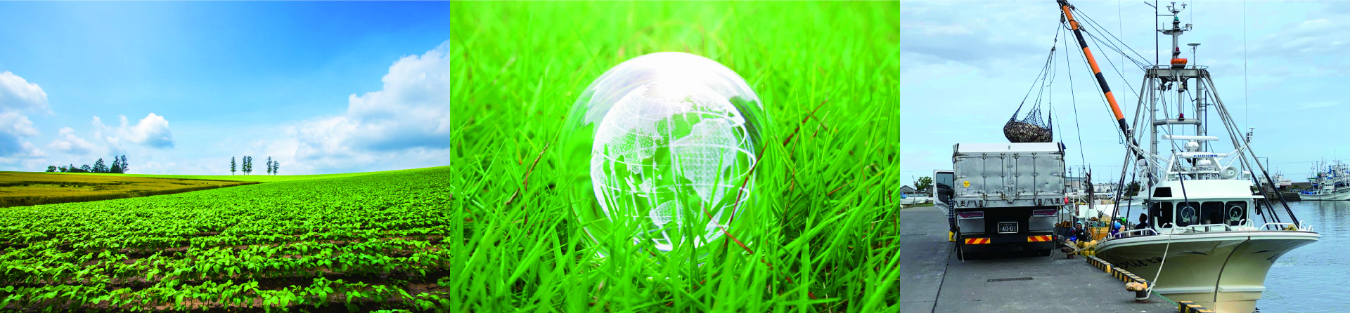 Eco&SDGs 環境への配慮