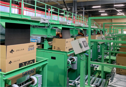 JAふらの 扇山玉葱選果場