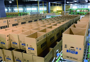 JAふらの 扇山玉葱選果場